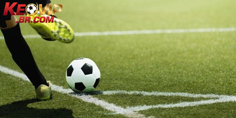 Bảng tỷ số trực tuyến vô cùng chuyên nghiệp