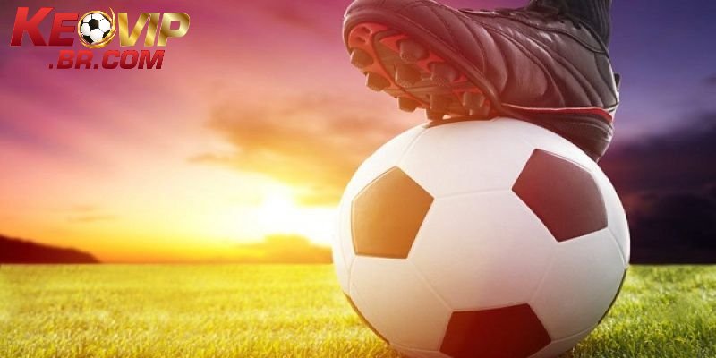 Tỷ lệ kèo tài xỉu thường thấy trên bảng cược