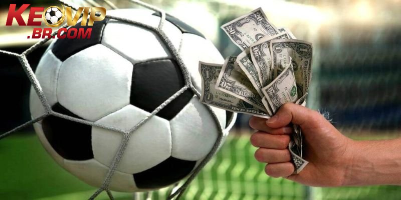 Dữ liệu lịch thi đấu bóng đá