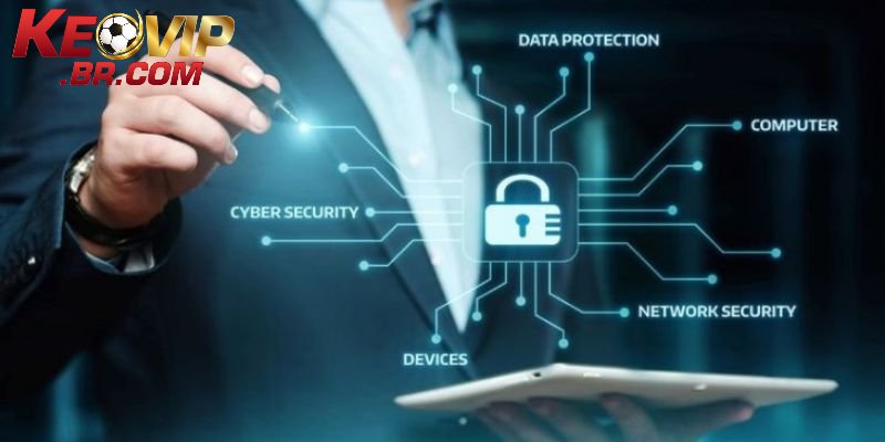 Quyền lợi hội viên theo như chính sách bảo mật