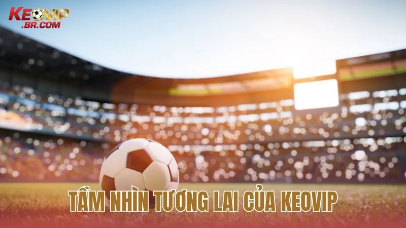 Tầm quan trọng của KEOVIP trong việc cung cấp và phân tích dữ liệu kèo